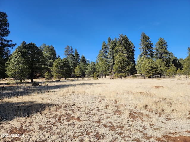 view of landscape featuring a rural view