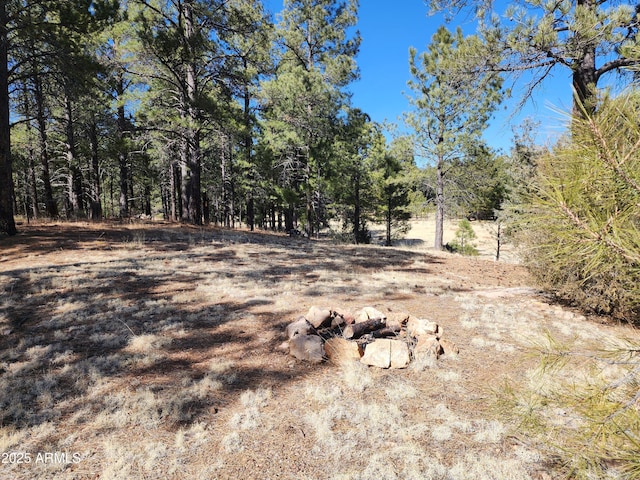 view of local wilderness