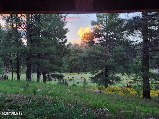 view of nature at dusk