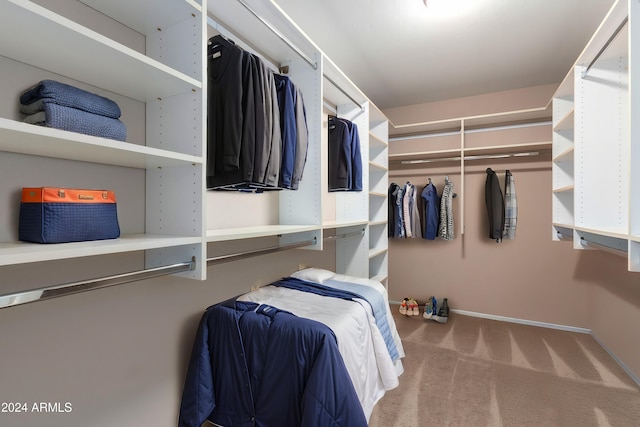 walk in closet with carpet floors