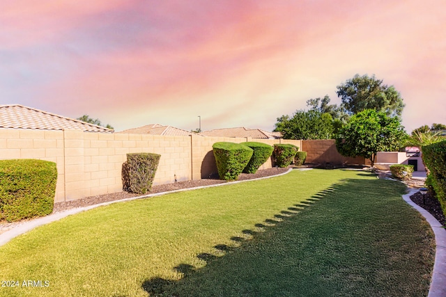 view of yard at dusk