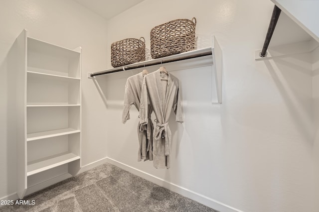 walk in closet featuring carpet