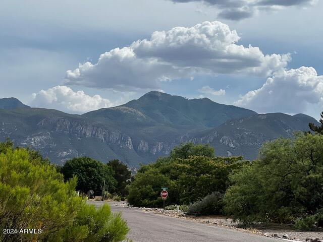 TBD S Sauk Ave Unit 229, Sierra Vista, AZ 85650