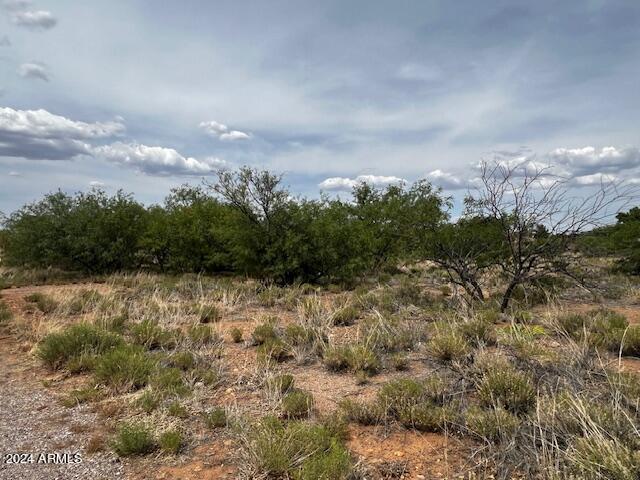 TBD S Sauk Ave Unit 229, Sierra Vista, AZ 85650