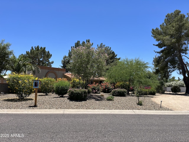 6139 E Voltaire Ave, Scottsdale, AZ 85254 - view of property hidden behind natural elements