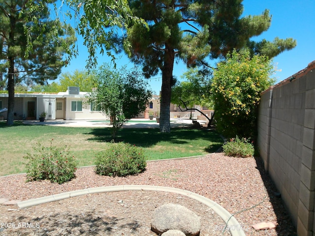 6139 E Voltaire Ave, Scottsdale, AZ 85254 - view of yard