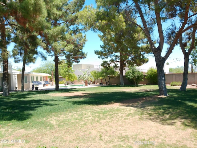 6139 E Voltaire Ave, Scottsdale, AZ 85254 - view of grassy yard