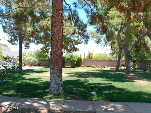 6139 E Voltaire Ave, Scottsdale, AZ 85254 - view of fenced backyard