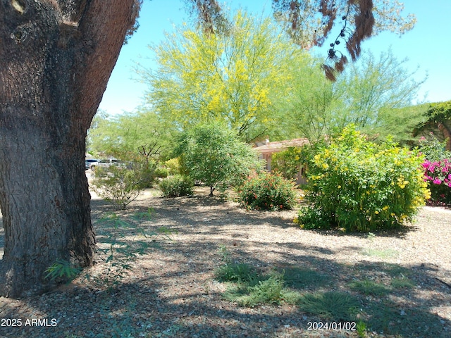 6139 E Voltaire Ave, Scottsdale, AZ 85254 - view of yard