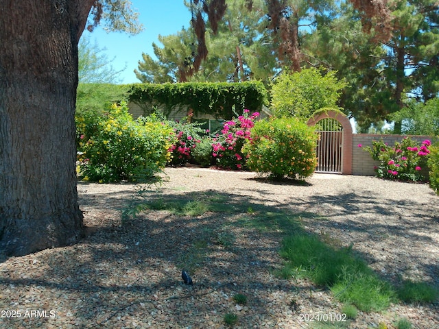 6139 E Voltaire Ave, Scottsdale, AZ 85254 - view of yard featuring a gate