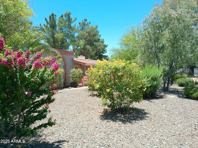 6139 E Voltaire Ave, Scottsdale, AZ 85254 - view of yard