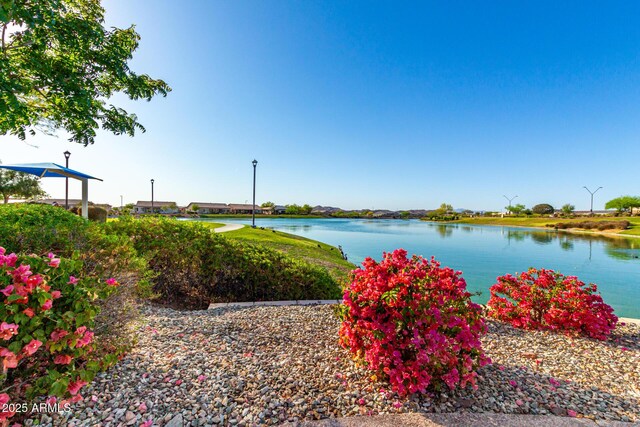 17139 S 174th Dr, Goodyear, AZ 85338 - property view of water