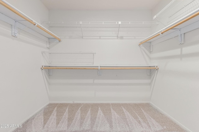 spacious closet with carpet floors