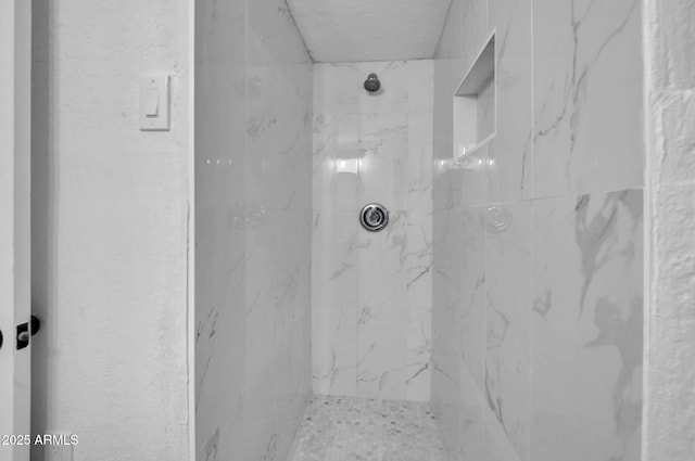 538 S Macdonald, Mesa, AZ 85210 - full bath with a marble finish shower
