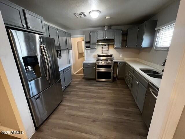 kitchen with appliances with stainless steel finishes, sink, and dark hardwood / wood-style floors