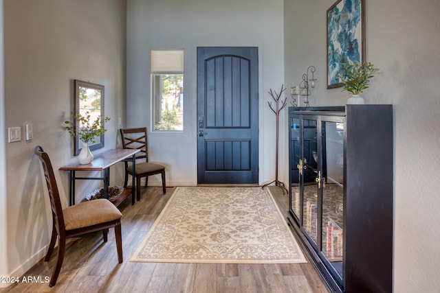 foyer entrance featuring wood-type flooring