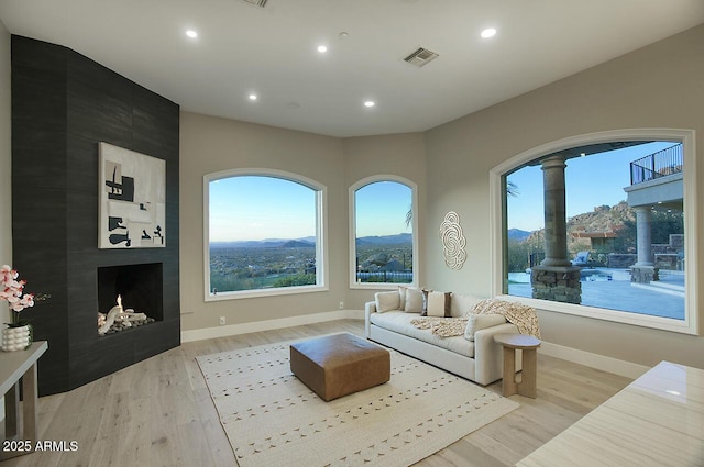 living room featuring a mountain view, a fireplace, and light hardwood / wood-style floors