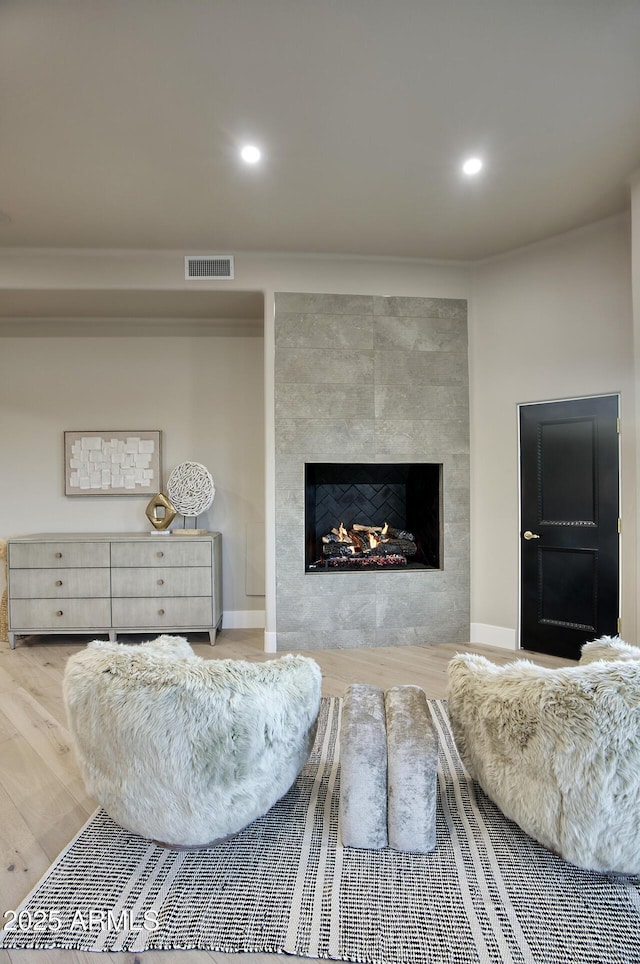 living room featuring a fireplace and wood-type flooring