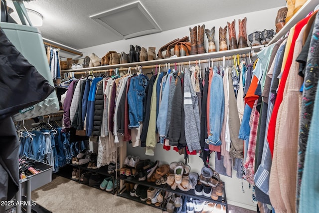 spacious closet with carpet floors and attic access