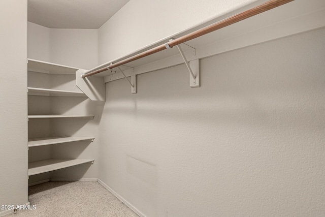 view of spacious closet