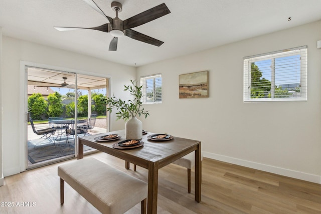 dining area featuring baseboards, a ceiling fan, and light wood finished floors