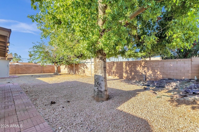 14215 N 36th Way, Phoenix, AZ 85032 - view of fenced backyard