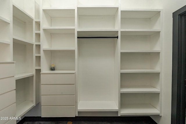 view of walk in closet