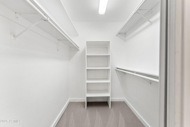 spacious closet with carpet