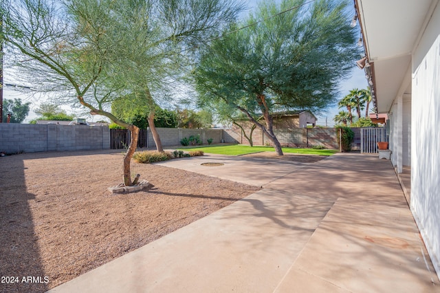 view of yard with a patio area