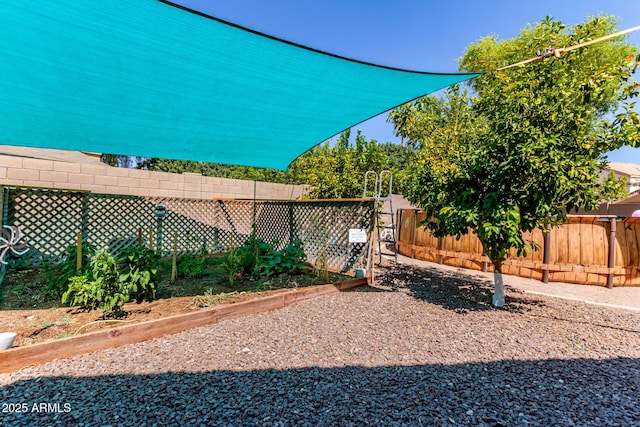 557 S Lemon Ct, Gilbert, AZ 85296 - view of yard