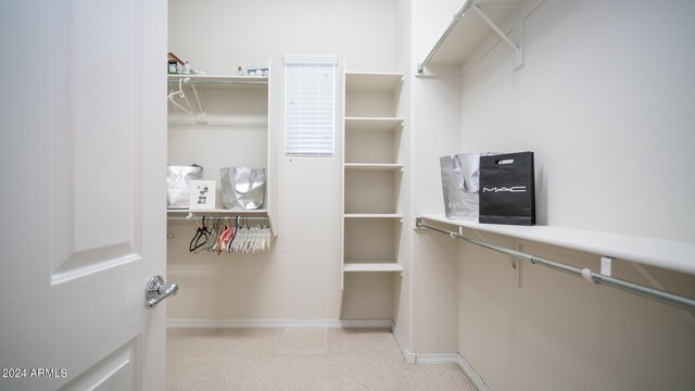 spacious closet with light colored carpet