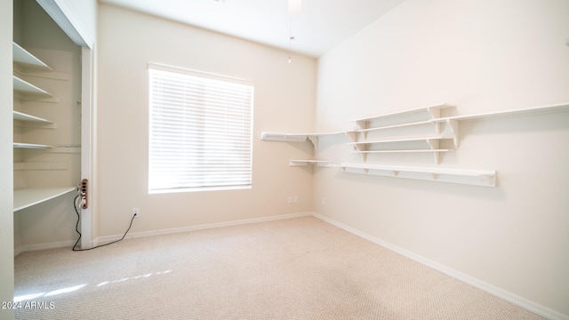 walk in closet with carpet floors