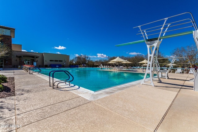 view of swimming pool with a patio