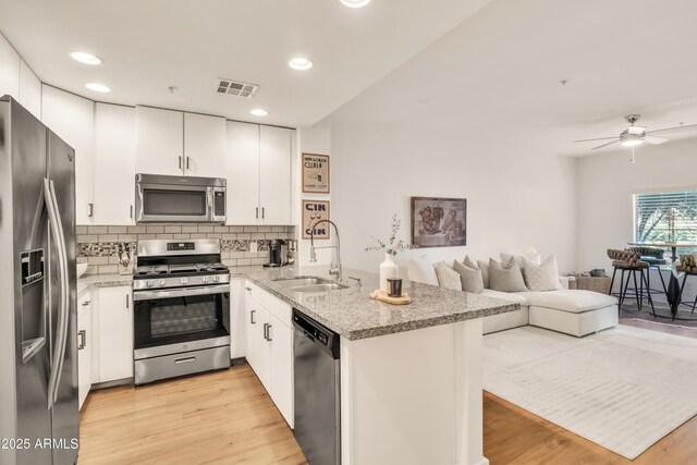 5450 E Deer Valley Dr Unit 1004, Phoenix, AZ 85054 - kitchen featuring appliances with stainless steel finishes, a sink, a peninsula, open floor plan, and a ceiling fan