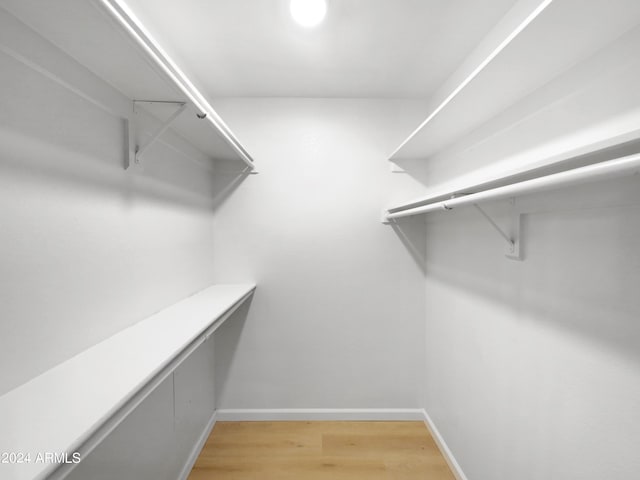 spacious closet featuring light wood-style flooring