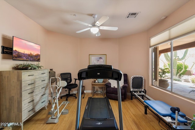 25483 N Wrangler Rd, Scottsdale, AZ 85255 - workout room featuring a ceiling fan and light wood-style flooring