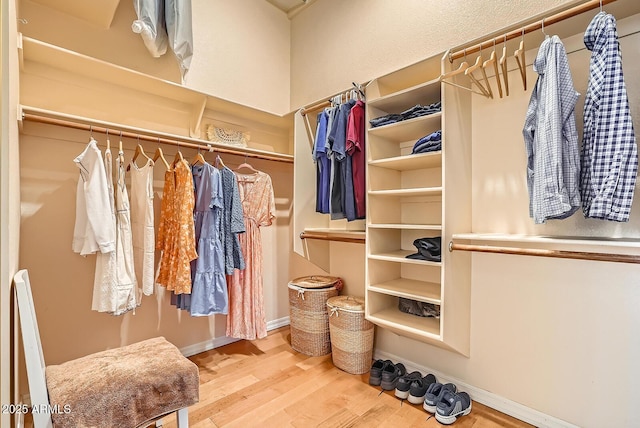 spacious closet featuring wood finished floors