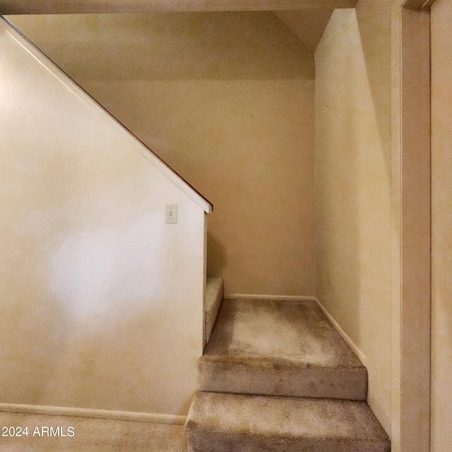 staircase featuring carpet flooring