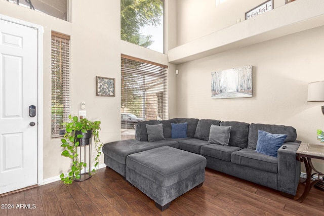 living room featuring dark wood-type flooring and a high ceiling