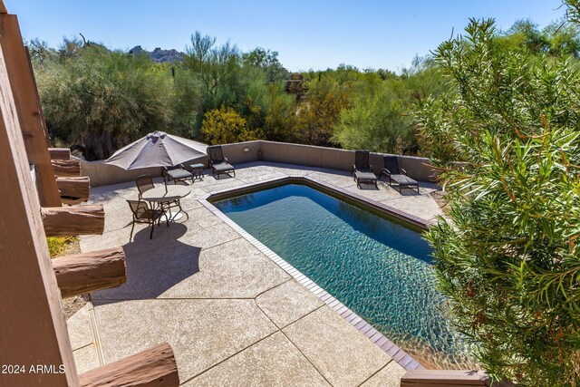 view of pool featuring a patio area