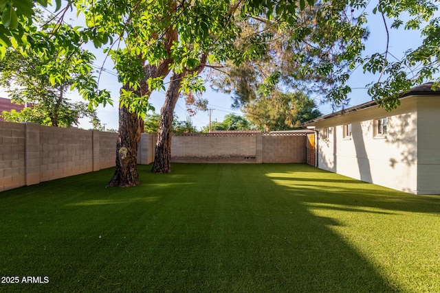 6628 N 2nd Ave, Phoenix, AZ 85013 - view of yard
