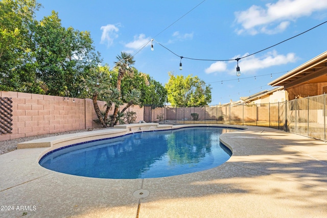 view of pool featuring a fenced in pool, a fenced backyard, and a patio