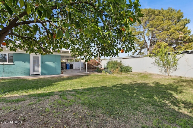 view of yard featuring a patio area and a fenced backyard