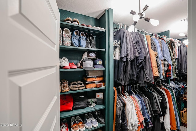 view of spacious closet