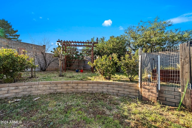 view of yard featuring a pergola