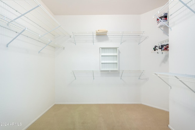 spacious closet featuring carpet floors