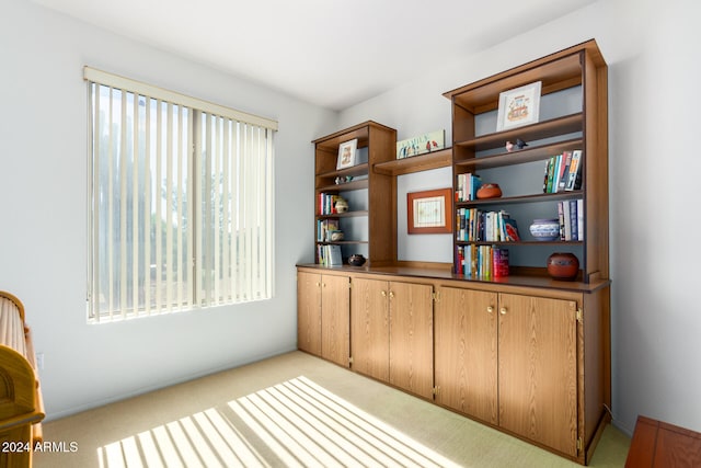 living area with light colored carpet