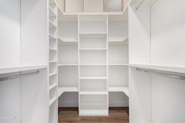 walk in closet featuring wood-type flooring