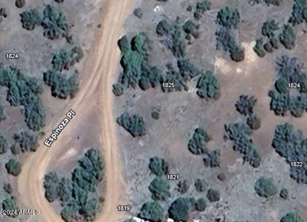 1825 Espinosa Pl Unit 69, Show Low AZ, 85901 land for sale