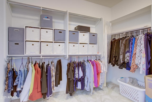 walk in closet featuring carpet floors